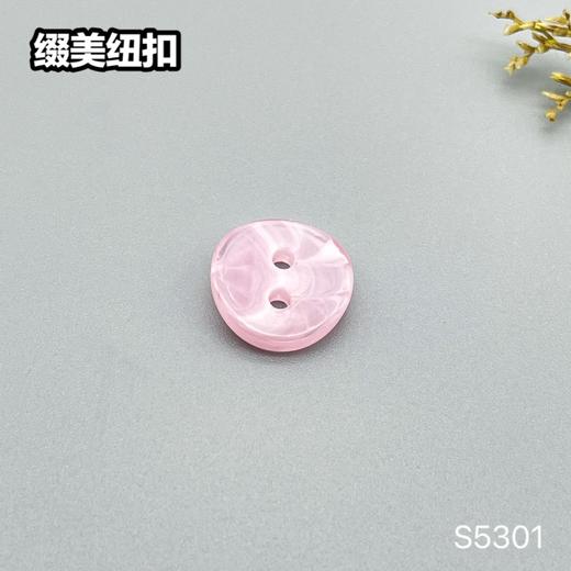 S5301(整包购买) 商品图3