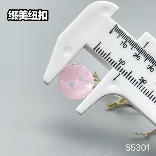 S5301(整包购买) 商品图10