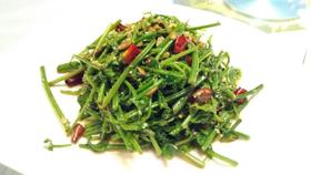 【TC】老华家呛水蕨菜