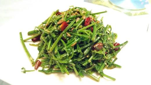 【TC】老华家呛水蕨菜 商品图0