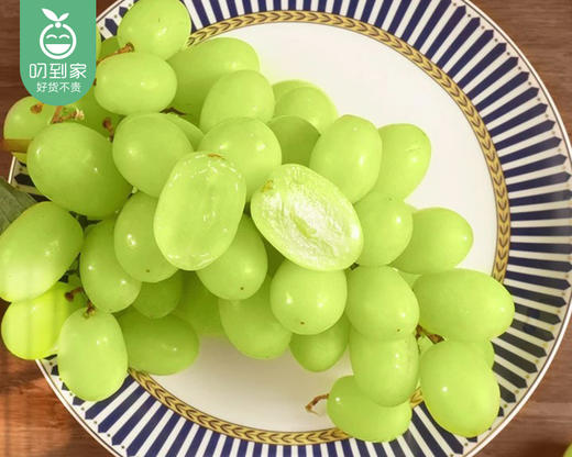澳洲甜地球青提（450g±25g/盒） 商品图4
