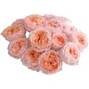 肯尼亚花材Georgia peach乔治蜜桃多头玫瑰花 6支 商品缩略图4