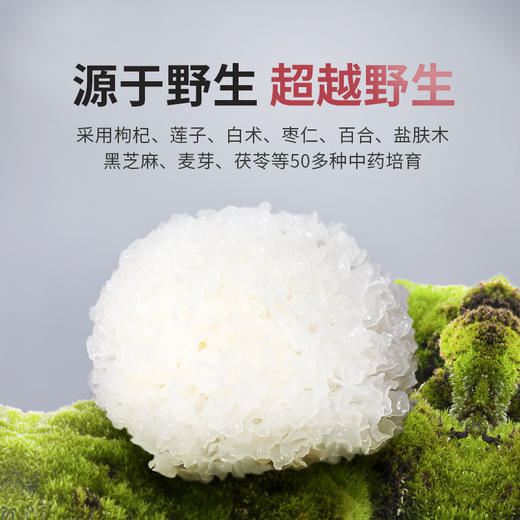 姚淑先本草银耳即食银耳羹60g/100g 商品图1