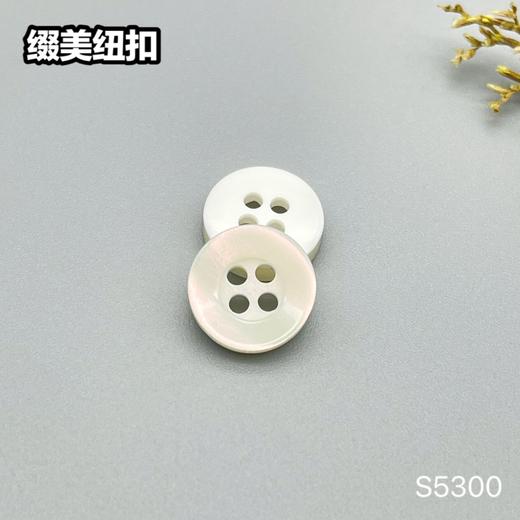 S5300(整包购买) 商品图2