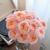 肯尼亚花材Georgia peach乔治蜜桃多头玫瑰花 6支 商品缩略图2