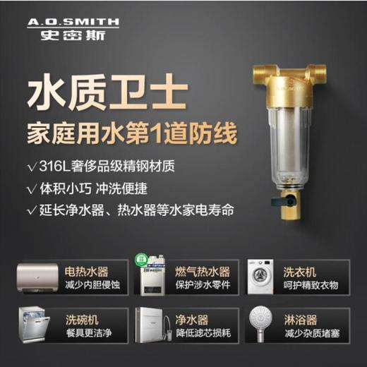 AO史密斯PF25CI前置过滤器 商品图0