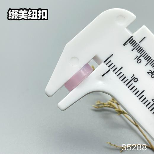 S5288(整包购买) 商品图8