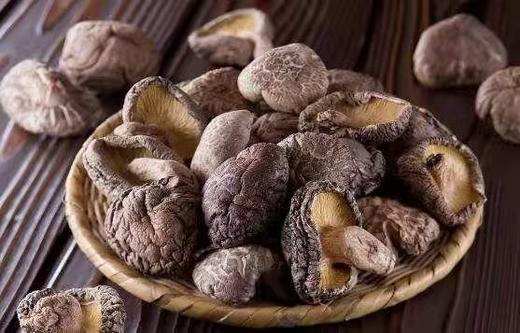 汉达干香菇 商品图0