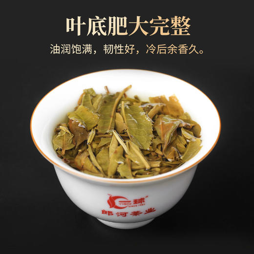 一球2022年百山百味·景迈普洱生茶饼200g 商品图4
