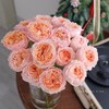 肯尼亚花材Georgia peach乔治蜜桃多头玫瑰花 6支 商品缩略图1