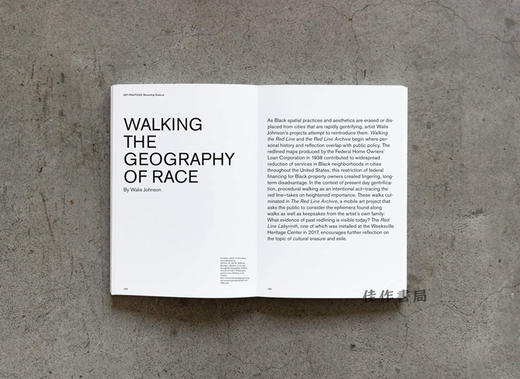 In Search of African American Space/寻找非裔美国人的空间 商品图3