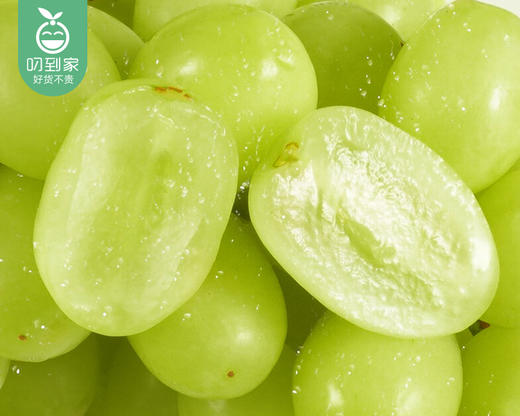 澳洲甜地球青提（450g±25g/盒） 商品图3