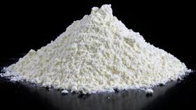 天宝散面粉2.9/斤