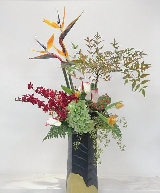 【天堂鸟】 (鹤望兰) 5支/扎  A/B级 商品图9