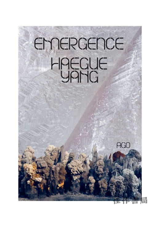 Haegue Yang: Emergence/梁慧圭：兴起 商品图0