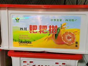 耙耙柑春见一件