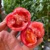 普罗旺斯水果西红柿，果肉糯糯沙沙，肉厚多汁 商品缩略图2