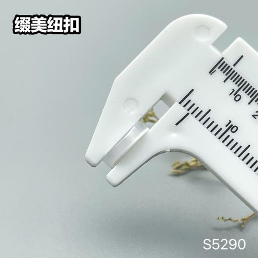 S5290(整包购买) 商品图6