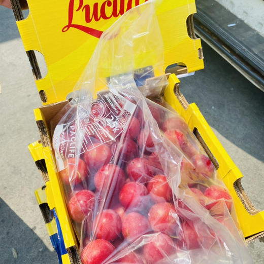 智利 樱桃李 5勾大果 商品图9