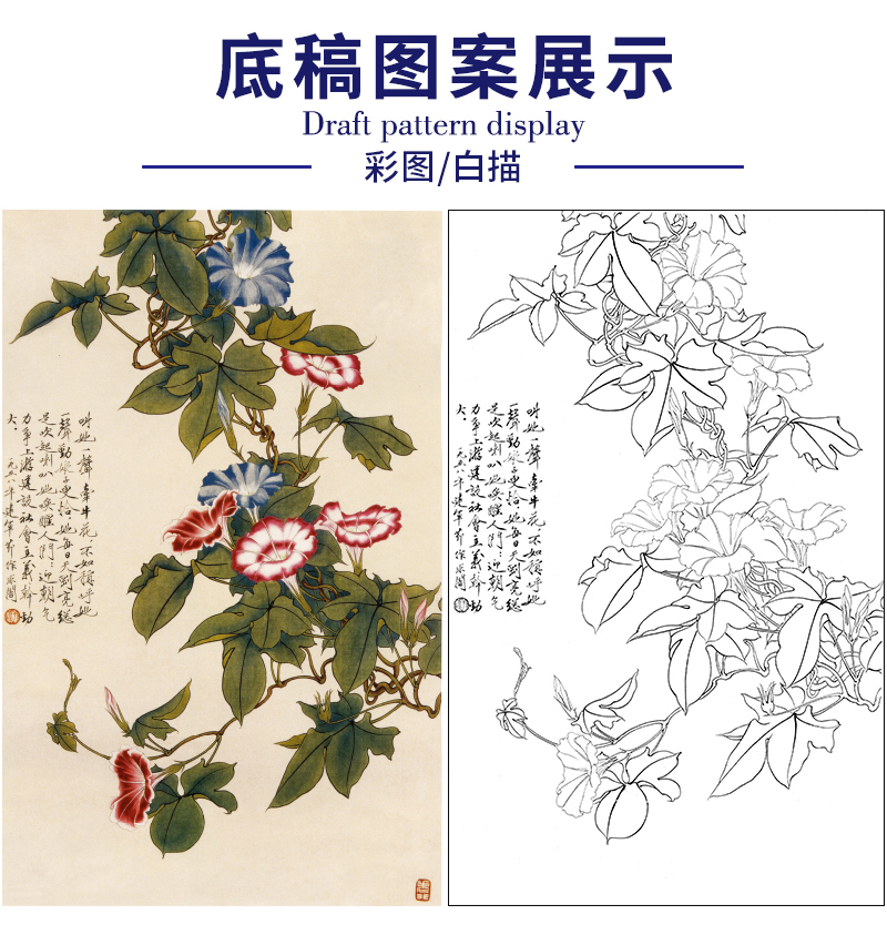 于非闇竖幅工笔花鸟白描底稿-牵牛花-yf21