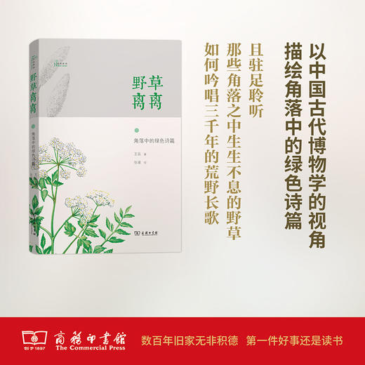 野草离离——角落中的绿色诗篇(自然感悟) 商品图0