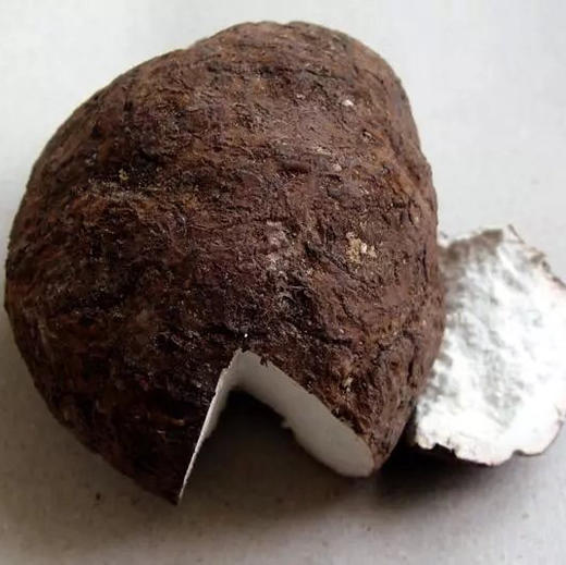 仿野生土茯苓 云苓 500克/袋 商品图1