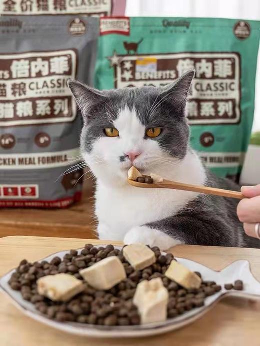 倍内菲无谷鸡肉冻干猫粮6.8kg 商品图2
