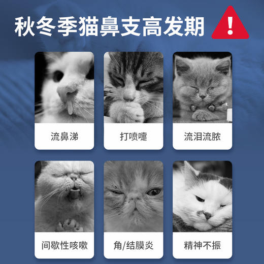 MAG 猫胺营养膏 猫氨膏 补充赖氨酸 120g/支 商品图1