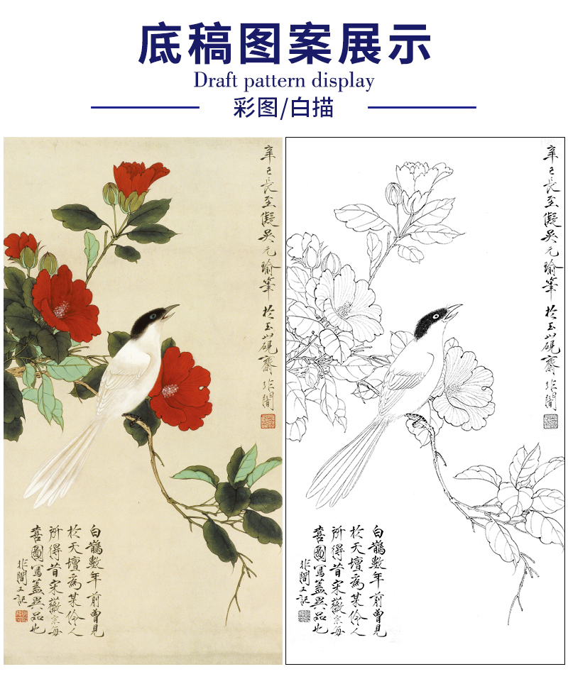 于非闇竖幅工笔花鸟白描底稿山茶花白雀图多种白描尺寸可选yf45