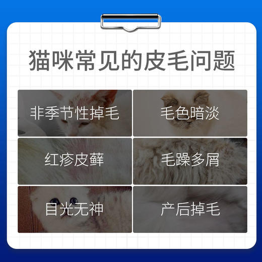 MAG猫用卵磷脂牛磺酸颗粒零食蛋黄卵磷脂美毛亮毛护肤防脱毛350g 商品图2