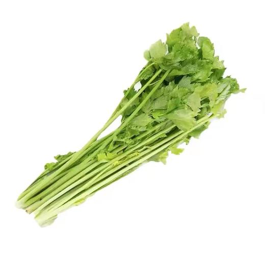 香芹（绿梗）（约500g） 商品图0