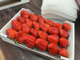 抗疫阿林有机草莓🍓