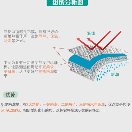 探险者双面铝膜防潮垫/1个 商品图1