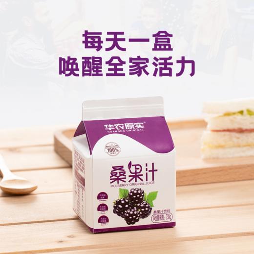 广东华农原实桑果汁238ml*10盒 商品图4