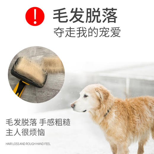 MAG 天然宠物海藻粉 犬猫通用 400g/瓶 商品图4