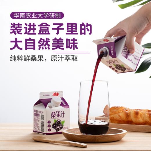 广东华农原实桑果汁238ml*10盒 商品图1