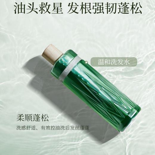温泉藻头皮养护洗发水温和版/瓶 商品图2