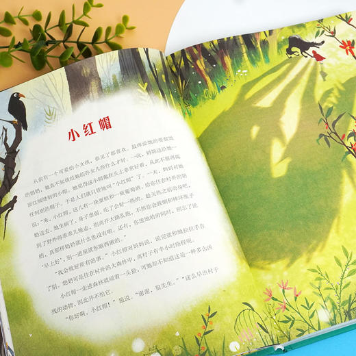 【6-12岁】给孩子的百年童话 彩图版 格林童话集 +安徒生童话集+稻草人+伊索寓言  名家译文  原创绘画 商品图3