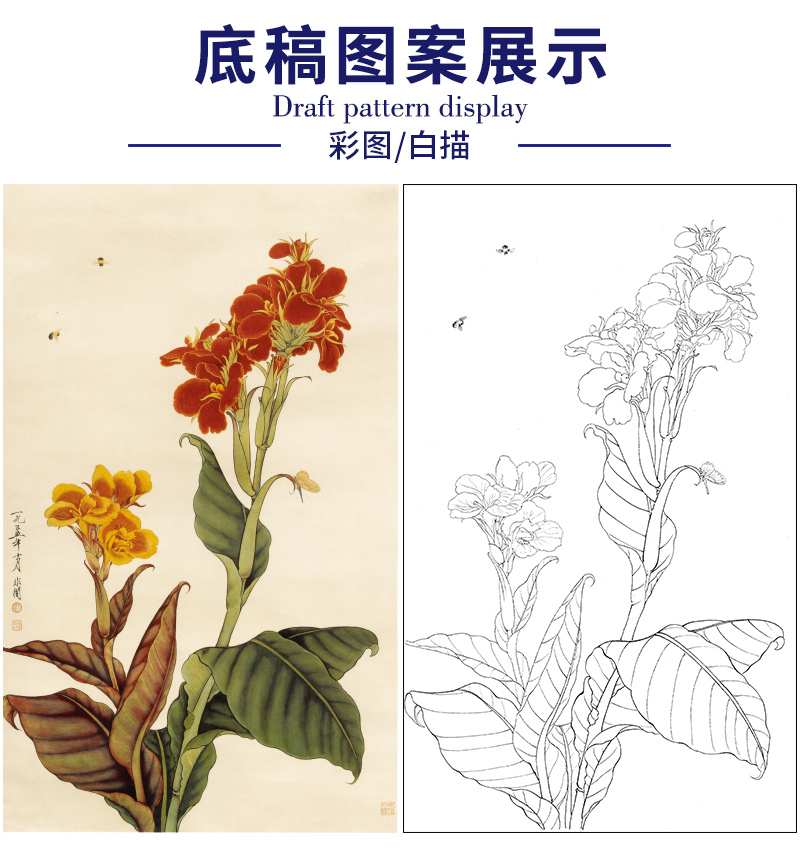 于非闇竖幅工笔花鸟白描底稿美人蕉多种白描尺寸可选yf32