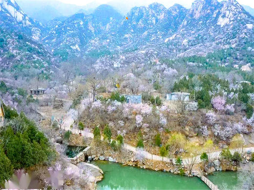 【后花园1日】燕平八景-神岭千峰-虎峪辉金漫山芬香北京后花园 商品图2