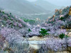 【后花园1日】燕平八景-神岭千峰-虎峪辉金漫山芬香北京后花园 商品缩略图5