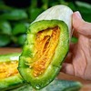 【山东羊角蜜甜瓜】脆甜多汁，咬着脆，吃着甜，连皮带籽一起吃，绵中带脆，咬上一口满嘴留香 商品缩略图0