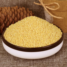 云南昭通盐津高原农家小米月子宝宝米，多种规格可选