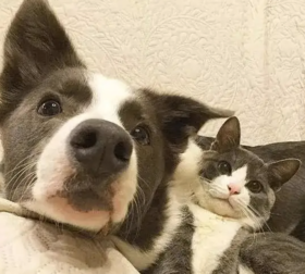 小壳体检科普周DAY1-健康寄语