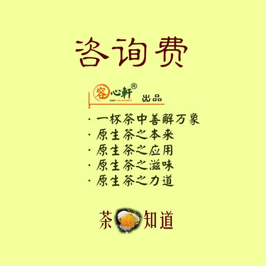 单次咨询费 商品图0