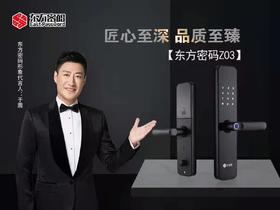 东方密码Z03智能指纹锁【BC】【YB】