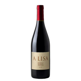 诺美亚酒庄爱丽莎干红葡萄酒20201年 Bodega Noemia A Lisa 2021