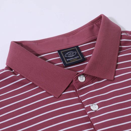 GOOD LUCK/德鲨经典条纹两色可选休闲商务短袖T恤BY03108 商品图7