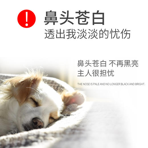 MAG 天然宠物海藻粉 犬猫通用 400g/瓶 商品图3