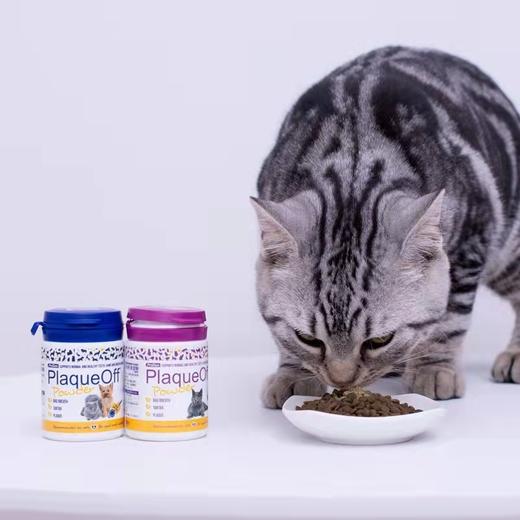 “加量不加价”瑞典进口博乐丹洁牙粉猫狗通用50g一瓶包邮（2026/11）院线版 商品图2